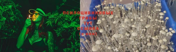 PSILOCYBIN Заволжье