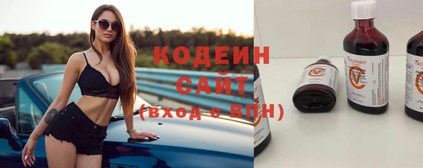 прущие крисы Заводоуковск