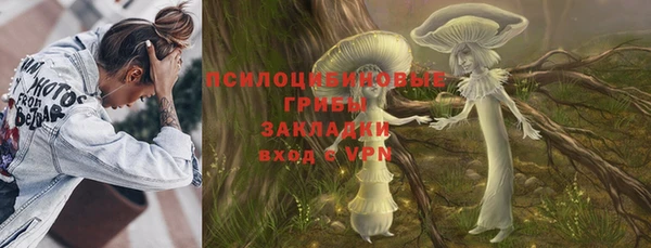 прущие крисы Заводоуковск