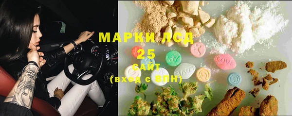 PSILOCYBIN Заволжье