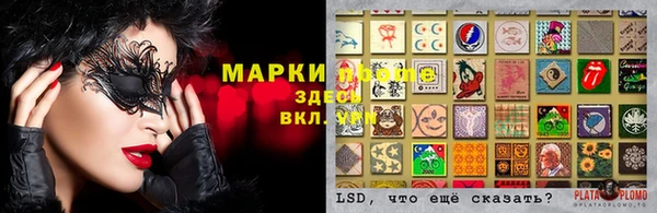 PSILOCYBIN Заволжье